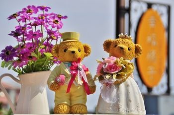Outdoor Pictures 16