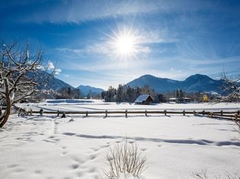 Outdoor Pictures 20