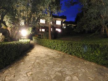 Outdoor Pictures 9