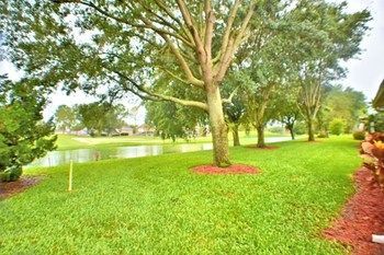 Outdoor Pictures 15