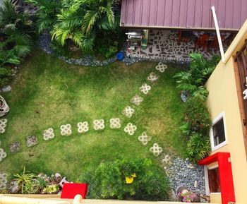Outdoor Pictures 21