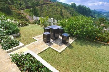 Outdoor Pictures 9