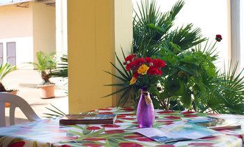 Outdoor Pictures 6