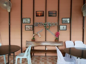Outdoor Pictures 6