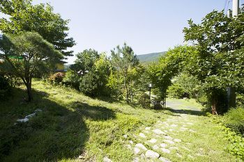 Outdoor Pictures 20