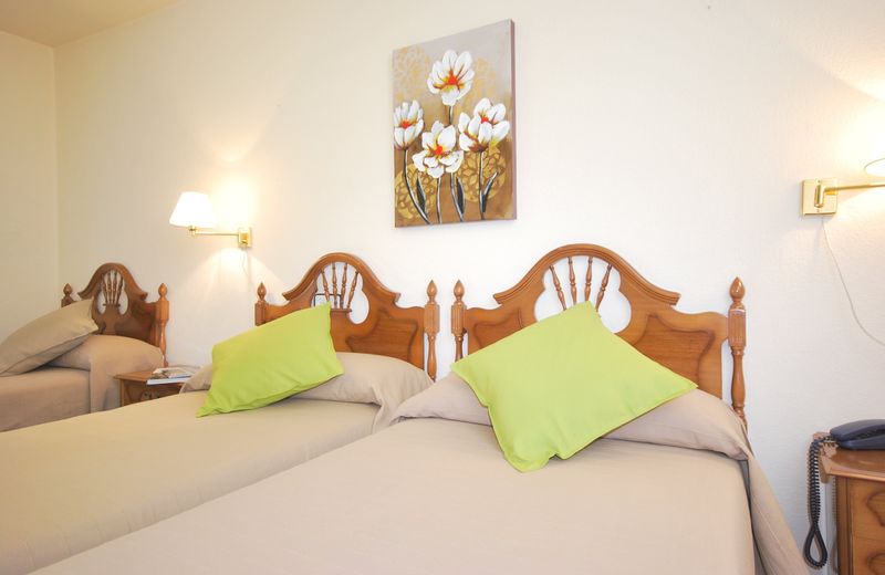 Hotel Principado De Europa