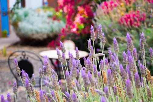 Outdoor Pictures 16