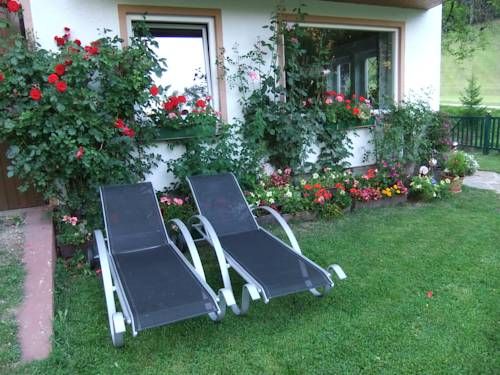 Outdoor Pictures 19