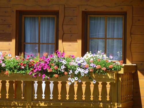 Outdoor Pictures 17
