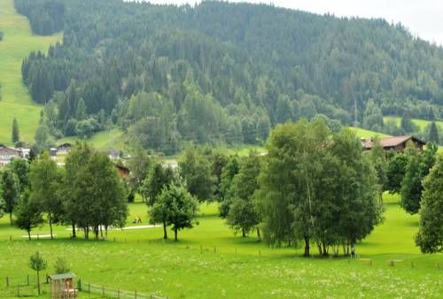 Outdoor Pictures 17