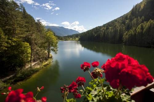 Outdoor Pictures 20