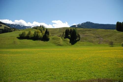 Outdoor Pictures 22