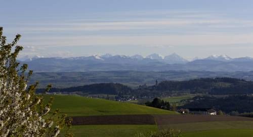 Outdoor Pictures 23