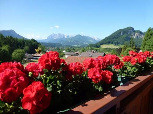Outdoor Pictures 20