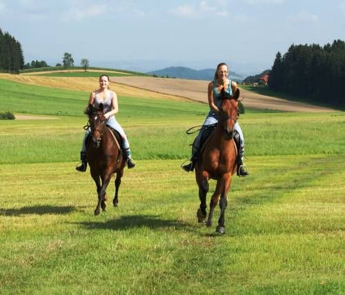 Outdoor Pictures 21