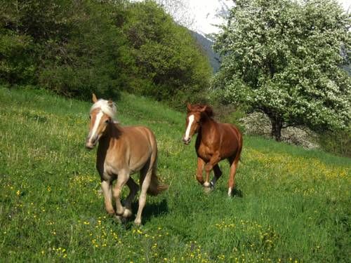 Outdoor Pictures 17