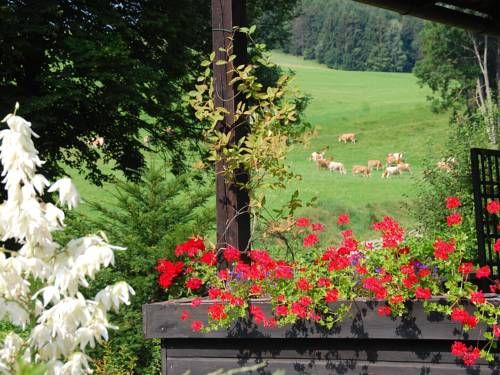 Outdoor Pictures 15