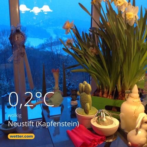 Outdoor Pictures 17