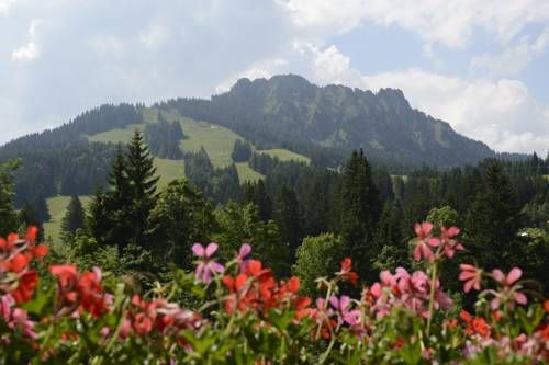 Outdoor Pictures 21