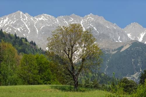 Outdoor Pictures 21