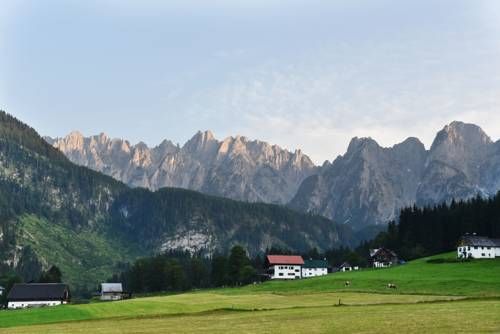 Outdoor Pictures 20