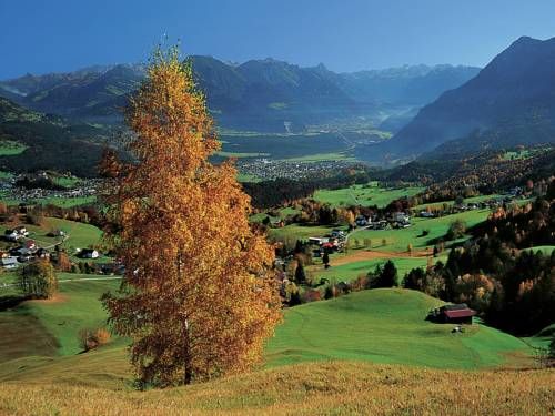 Outdoor Pictures 19