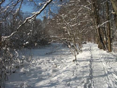 Outdoor Pictures 24