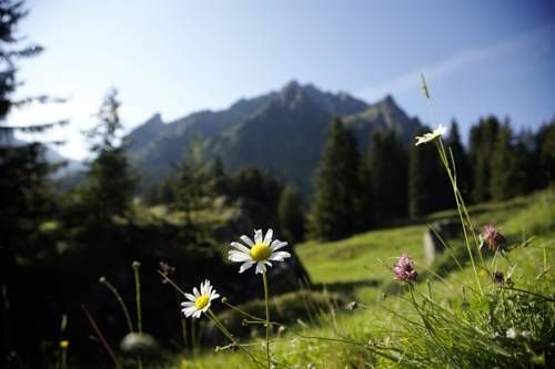 Outdoor Pictures 19