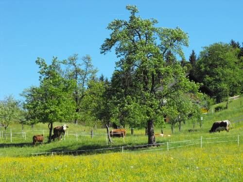 Outdoor Pictures 15