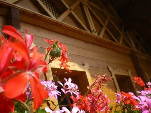 Outdoor Pictures 13