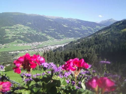 Outdoor Pictures 17