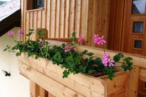 Outdoor Pictures 22