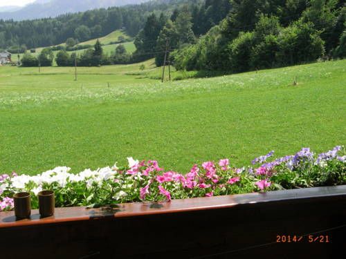 Outdoor Pictures 17
