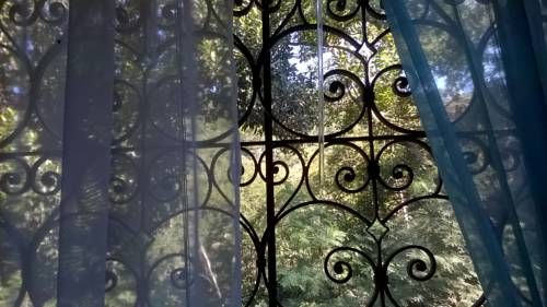 Outdoor Pictures 22