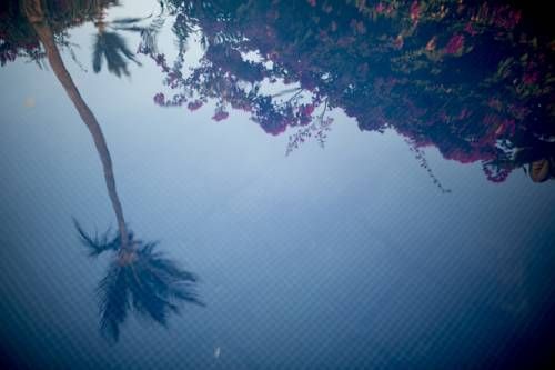 Outdoor Pictures 20