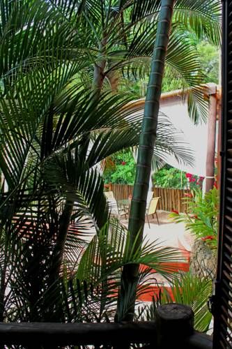 Outdoor Pictures 20
