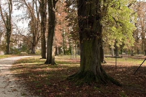 Outdoor Pictures 24