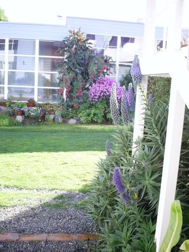 Algarrobo Apart Hotel & Spa