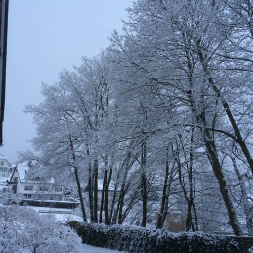 Outdoor Pictures 20