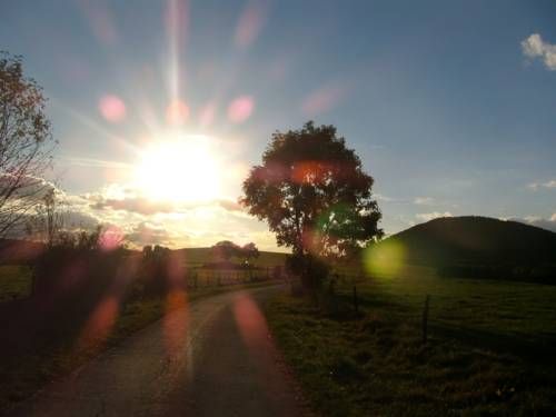 Outdoor Pictures 17