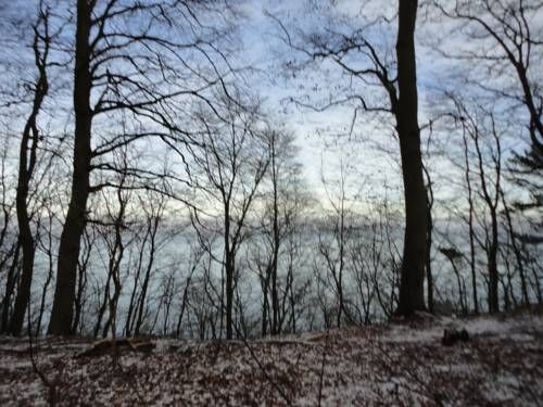 Outdoor Pictures 20