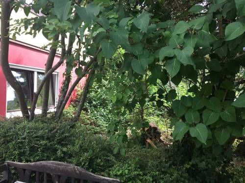 Outdoor Pictures 10