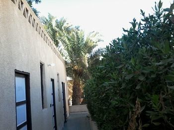 Outdoor Pictures 1