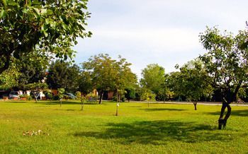 Outdoor Pictures 16