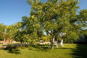 Outdoor Pictures 5