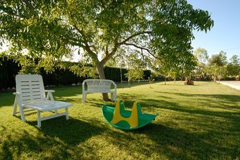Outdoor Pictures 6