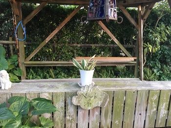 Outdoor Pictures 24