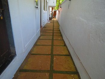Outdoor Pictures 19