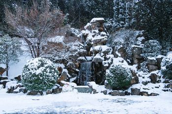 Outdoor Pictures 23