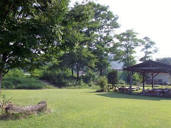 Outdoor Pictures 17